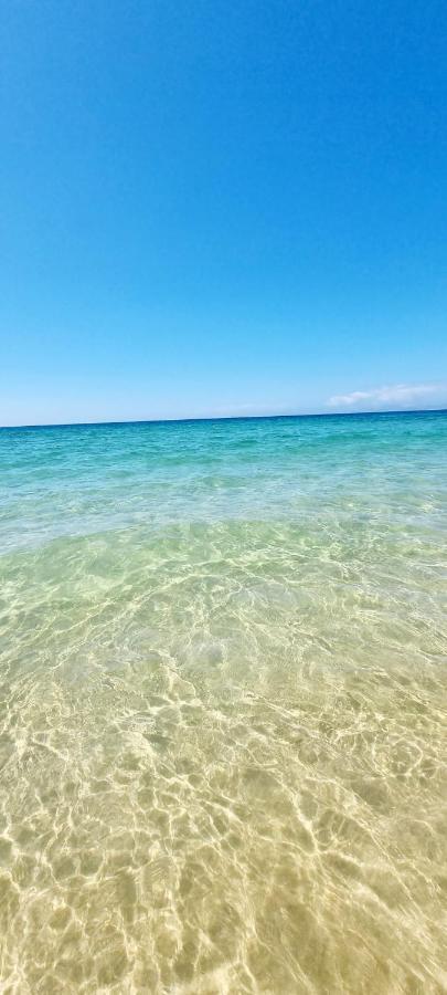 Comporta Beach House Ngoại thất bức ảnh